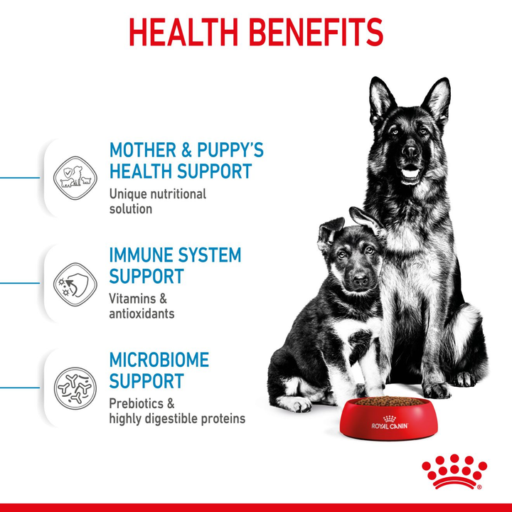 Royal Canin Maxi Starter health benefits: mother and puppy health support, immune system support, microbiome support
