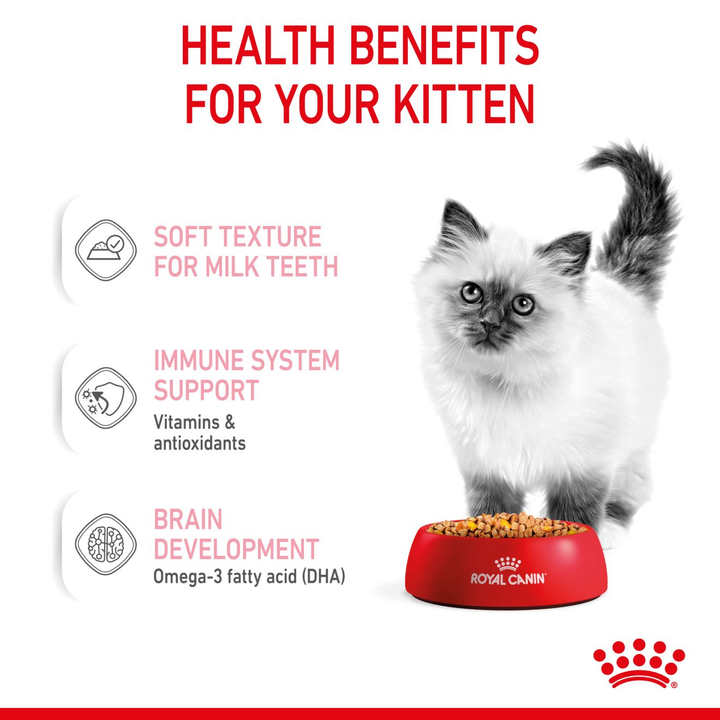 Royal Canin Kitten in Jelly health benefits: soft texture for milk teeth, immune system support, brain development