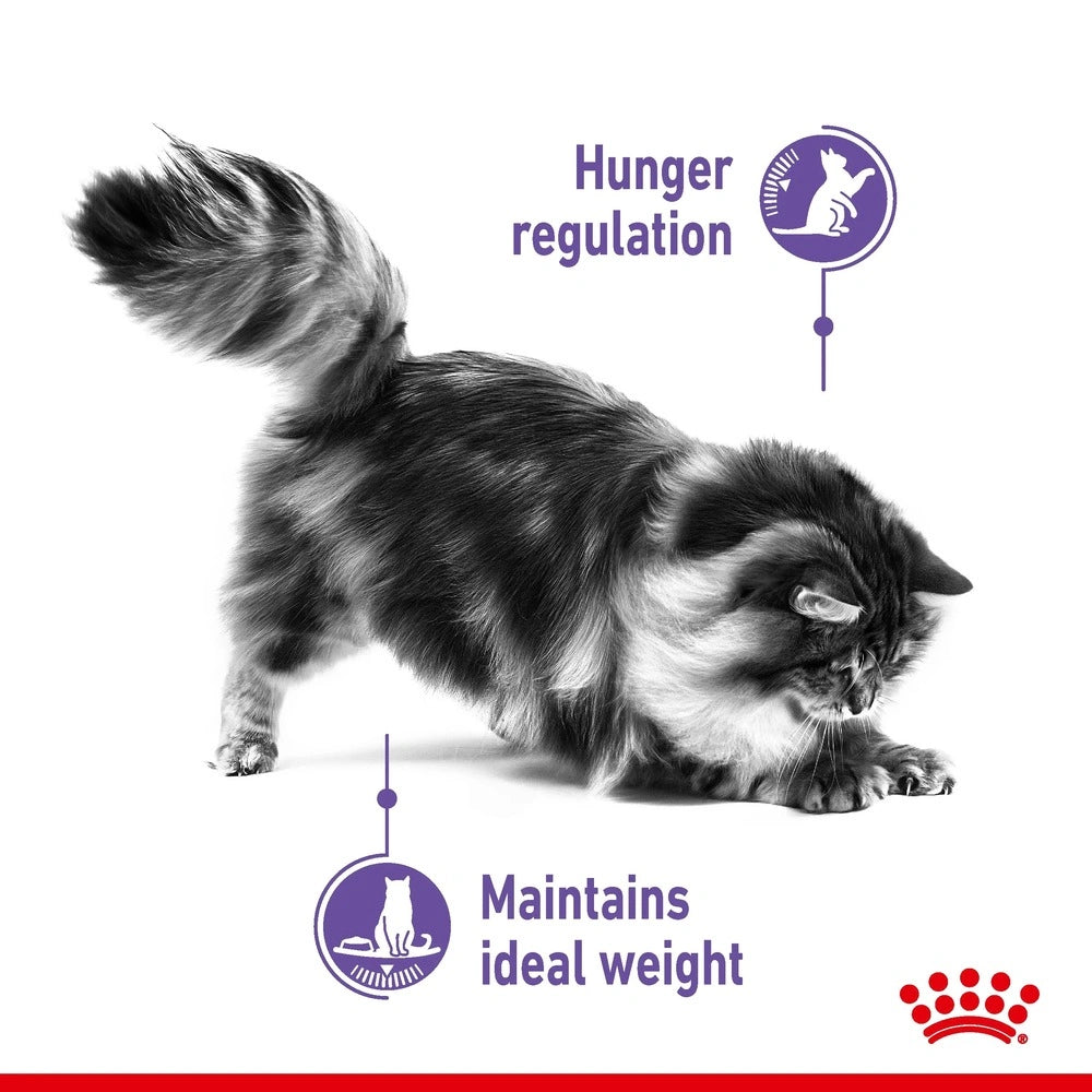 Royal Canin Appetite Control Wet Cat Food pouch for adult cats