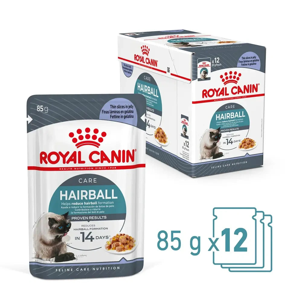 Royal Canin Appetite Control Wet Cat Food pouch for adult cats