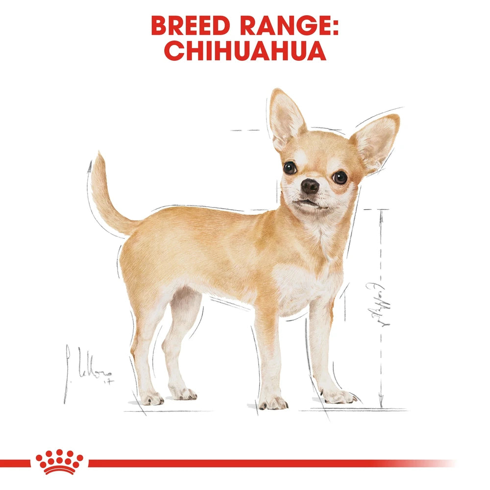 Royal Canin Adult Chihuahua Dog Food Loaf – nutritious wet food for small breed dogs.