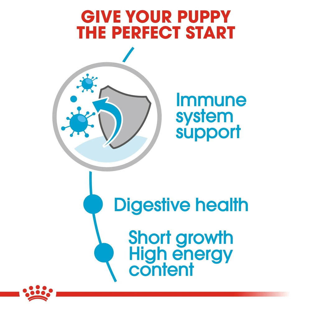 Medium-breed puppy eating high-energy kibble — immune & digestive support formula.