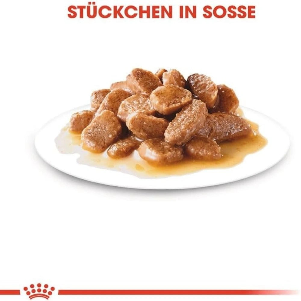 Royal Canin Mini Adult Wet Dog Food 12 x 85g