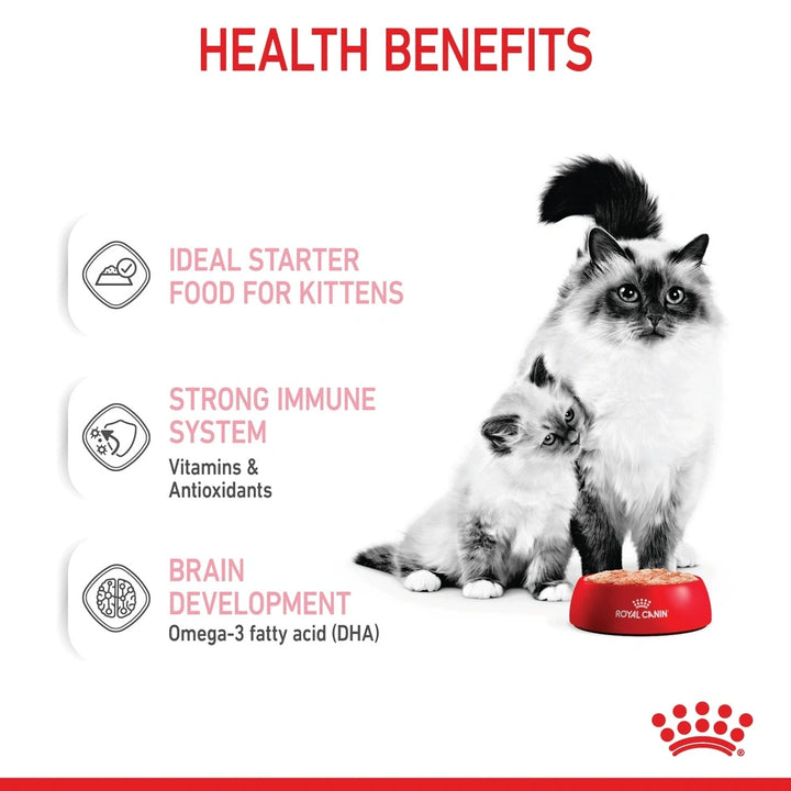 Royal Canin Babycat Instinctive Wet Food 195g – soft mousse for kittens and nursing queens.