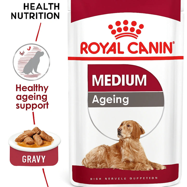Senior dog wet food

