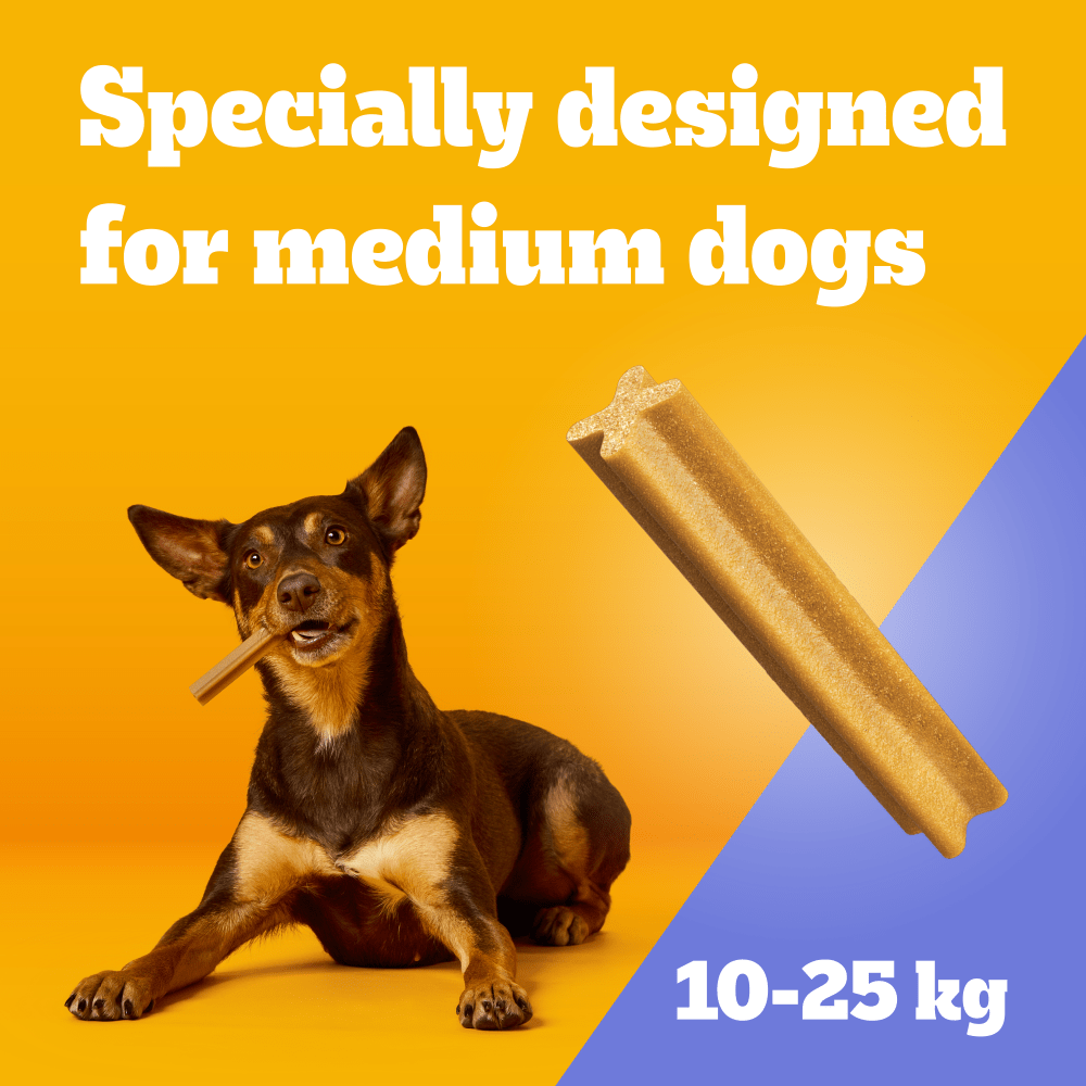 Pedigree Dentastix Medium, specially designed for medium dogs 10kg to 25kg