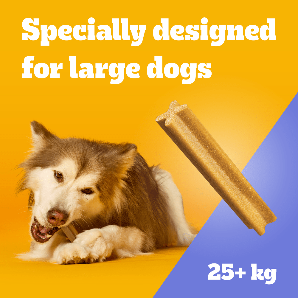 Pedigree Dentastix Large, specially designed for large dogs 25kg and over
