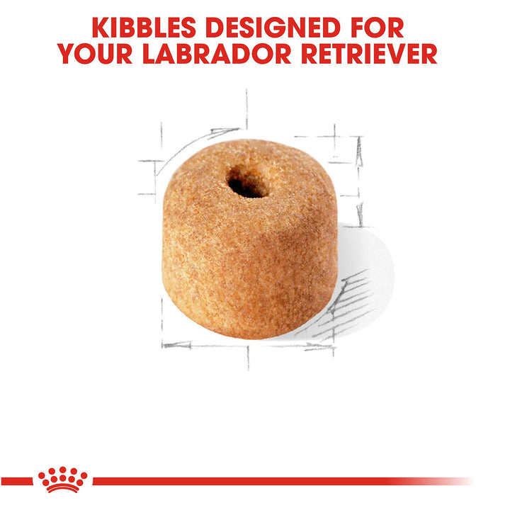 Royal Canin Adult Labrador Retriever - PetWorld