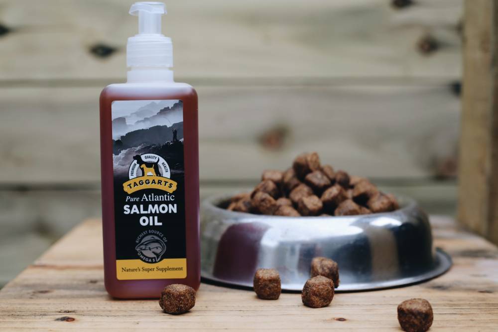 salmon oil for dogs