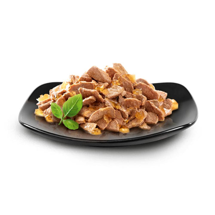 sheba turkey and chicken cat food