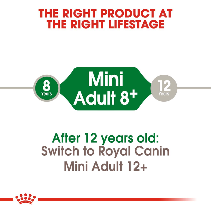 Royal Canin Mini Adult 8+ from 8 to 12 years, then switch to Mini Adult 12+