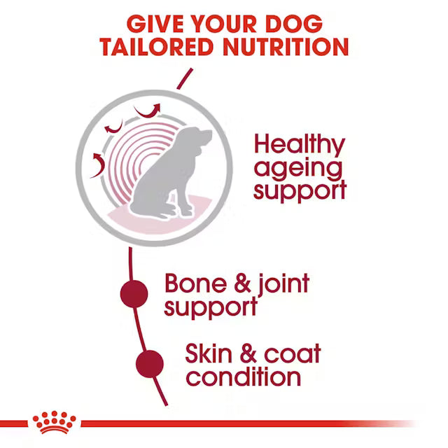 dog nutrition 