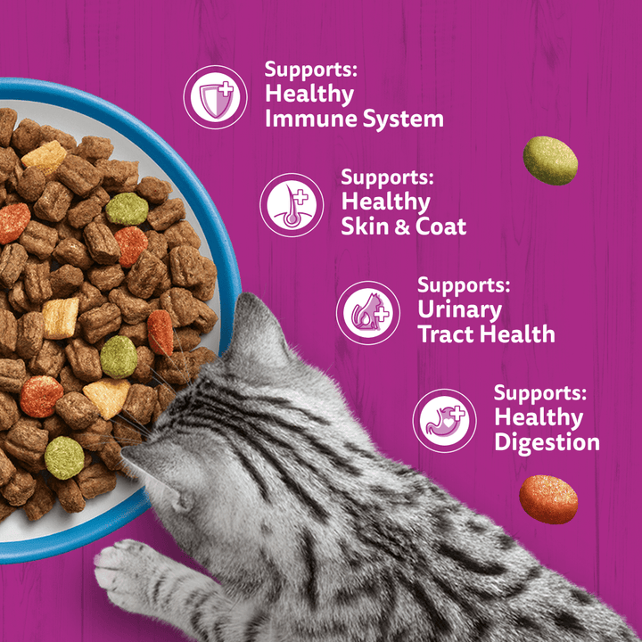 Whiskas dry cat food benefits: healthy immune system, skin and coat, urinary tract health and digestion