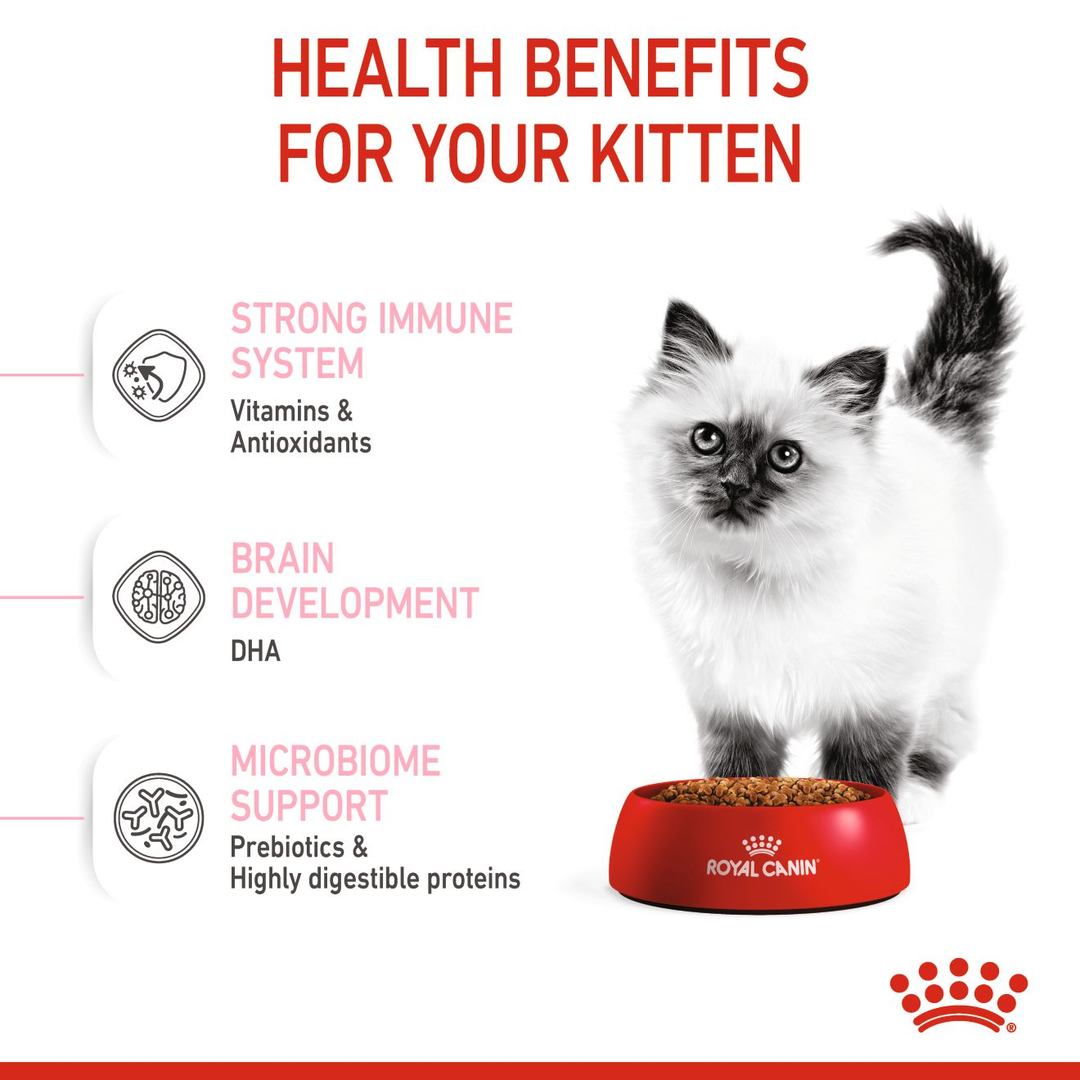 Royal Canin Kitten health benefits: strong immune system, brain development with DHA, microbiome support