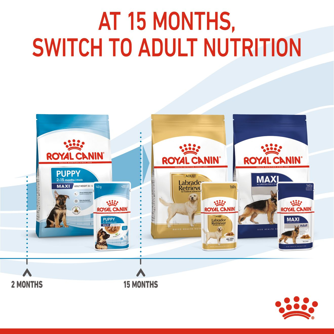 Royal Canin Maxi Puppy until 15 months, then switch to Maxi Adult nutrition