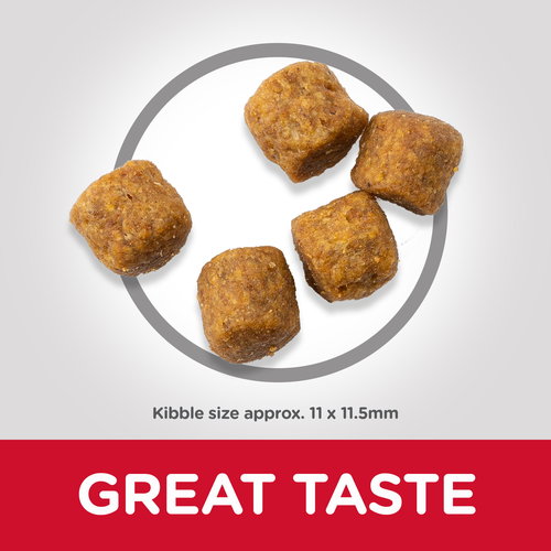 hills science plan kibble