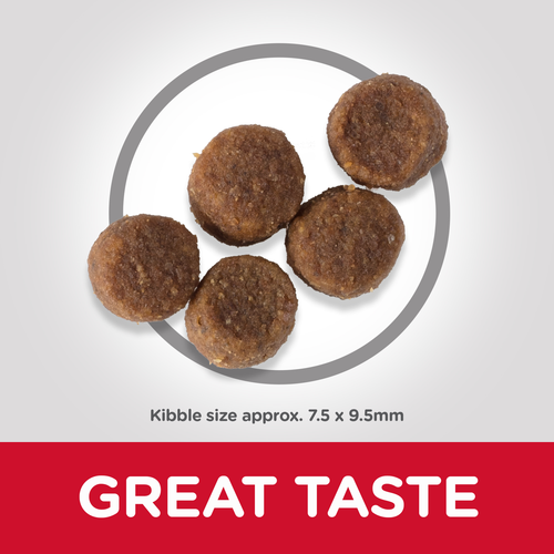 hills science plan puppy kibble