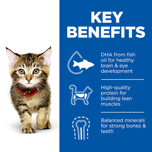 Kitten with key benefits of DHA, protein, and minerals 