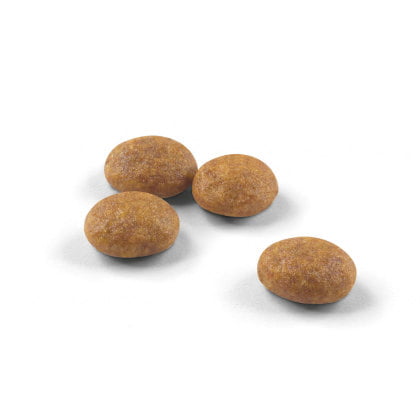 Royal Canin Outdoor Cat 30 - PetWorld