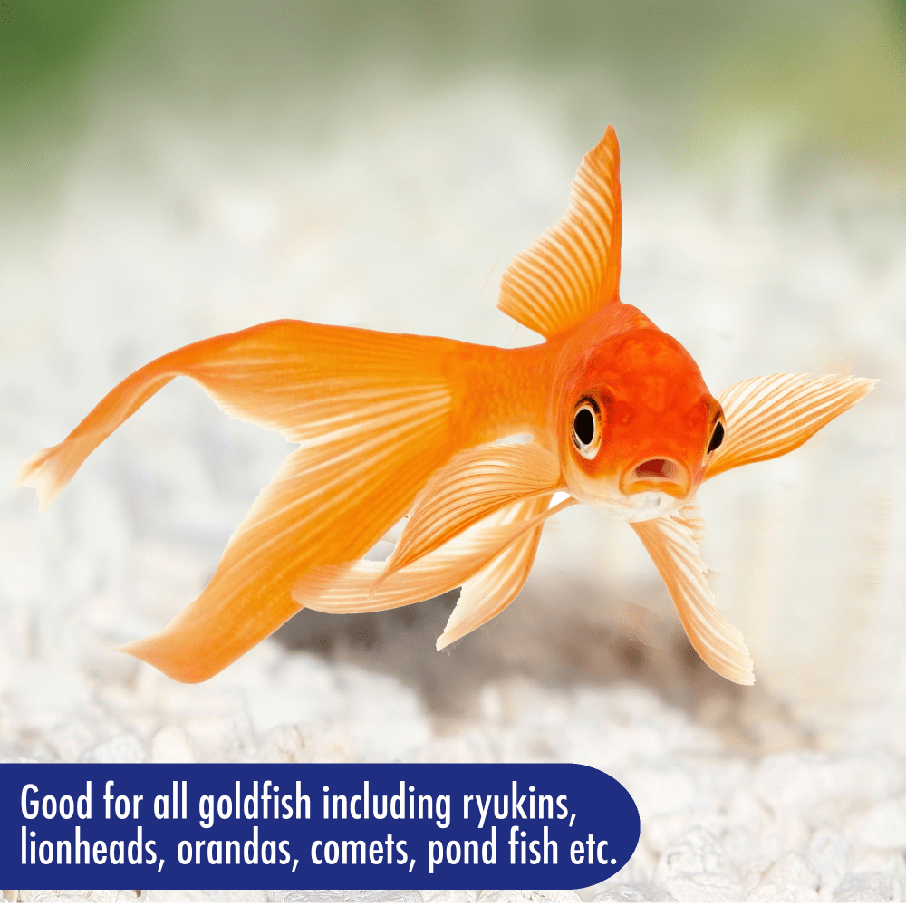Aquarian Goldfish Flake Food is good for all goldfish including ryukins, lionheads, orandas, comets and pond fish