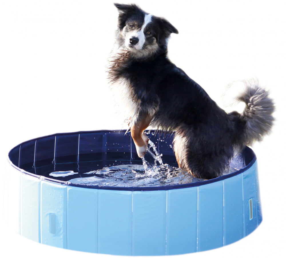 trixie dog pool