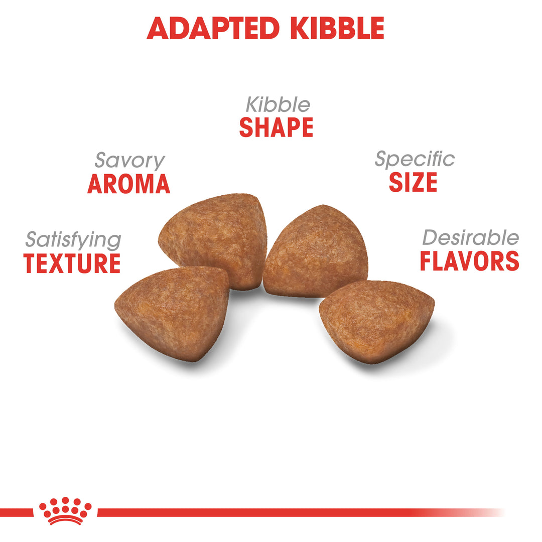 Royal Canin Junior X-small dog 1.5kg - PetWorld