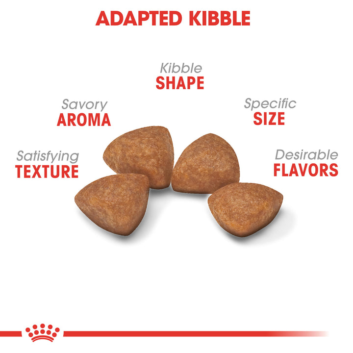 Royal Canin Junior X-small dog 1.5kg - PetWorld