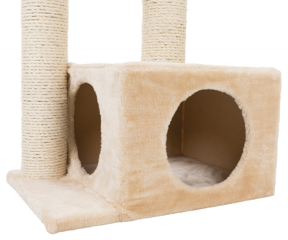 valencia cat scratching post
