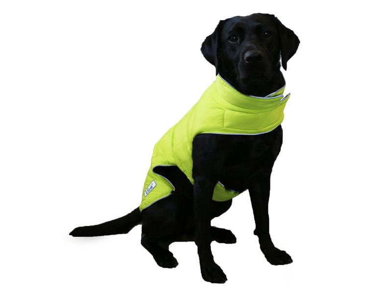 Viva Reversible Dog Coat Black/HiVis - PetWorld