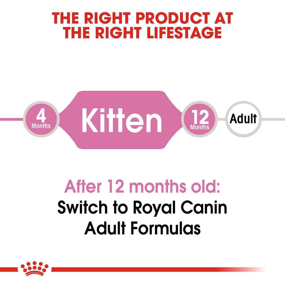 Royal Canin Kitten Dry Cat Food - PetWorld