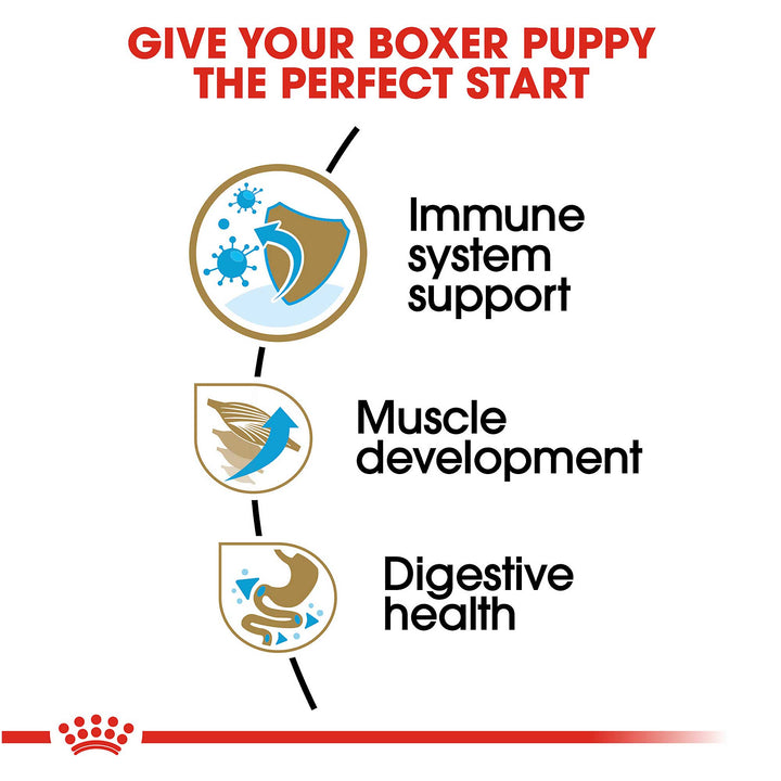 Royal Canin Junior Boxer Dog Food - PetWorld