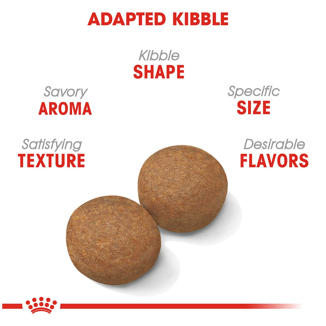 Royal Canin Maxi Adult Dog Food - PetWorld