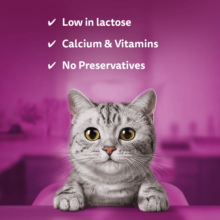 Whiskas Cat Milk is low in lactose with calcium and vitamins and no preservatives