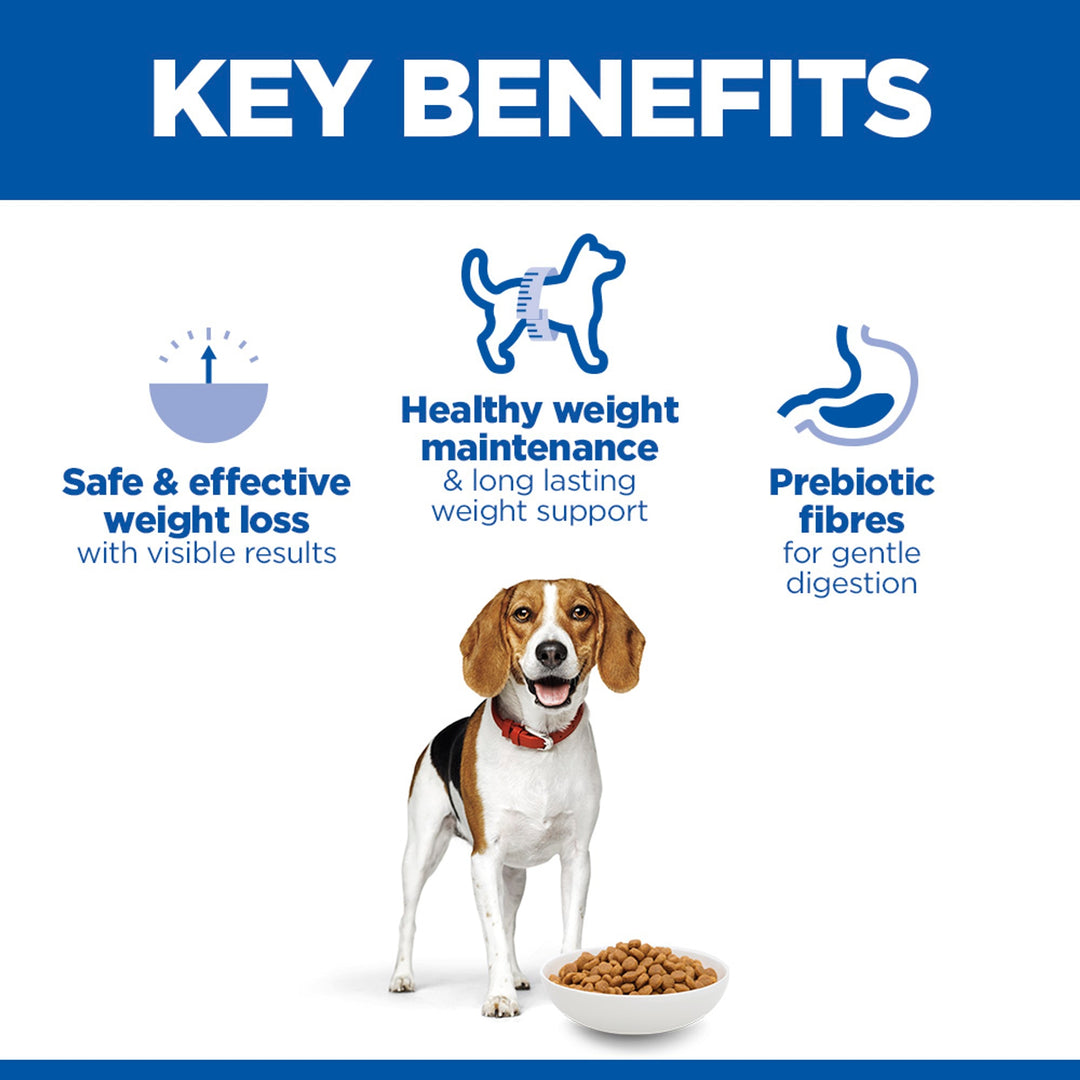 Hill's Perfect Weight Medium key benefits: safe weight loss, healthy weight maintenance, prebiotic fibres