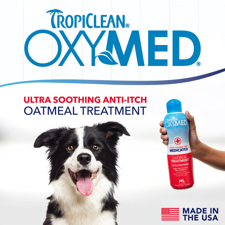 TropiClean OxyMed ultra soothing anti itch oatmeal treatment with dog