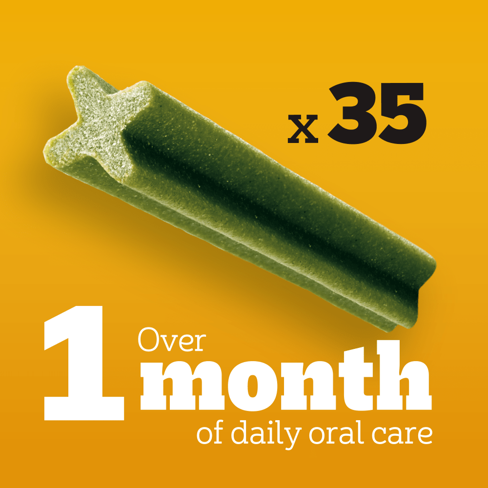 Pedigree Dentastix Daily Fresh 35 sticks: over 1 month of daily oral care